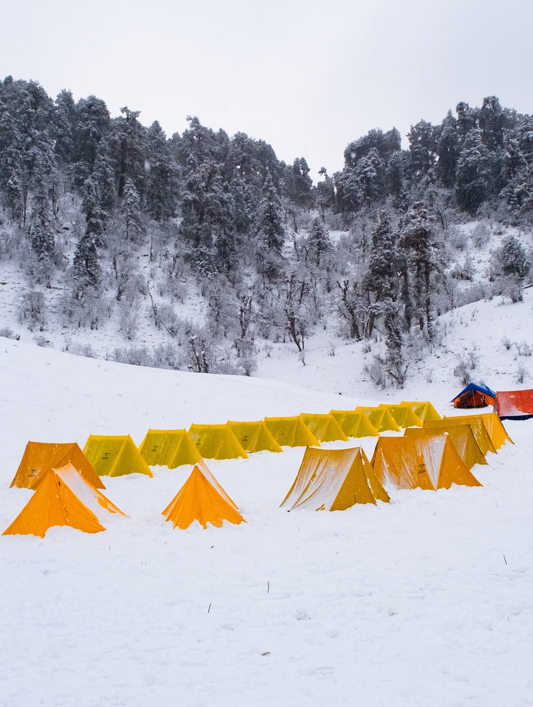 Chasing winter dreams in the white meadows of Dayara Bugyal ❄️✨ Follow @vikas_photowala for more 1