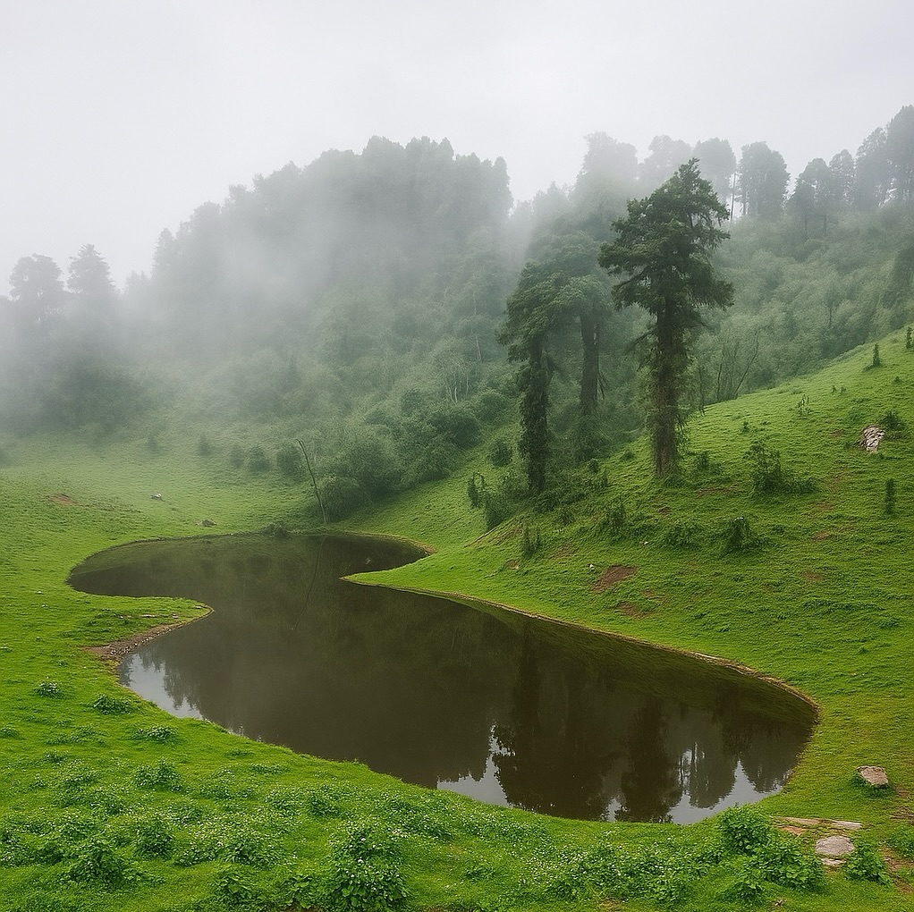 Dayara bugyal trek Oct November Book your dayara bugyal trek Dm inbox.dayarabugyaltrek utt 2