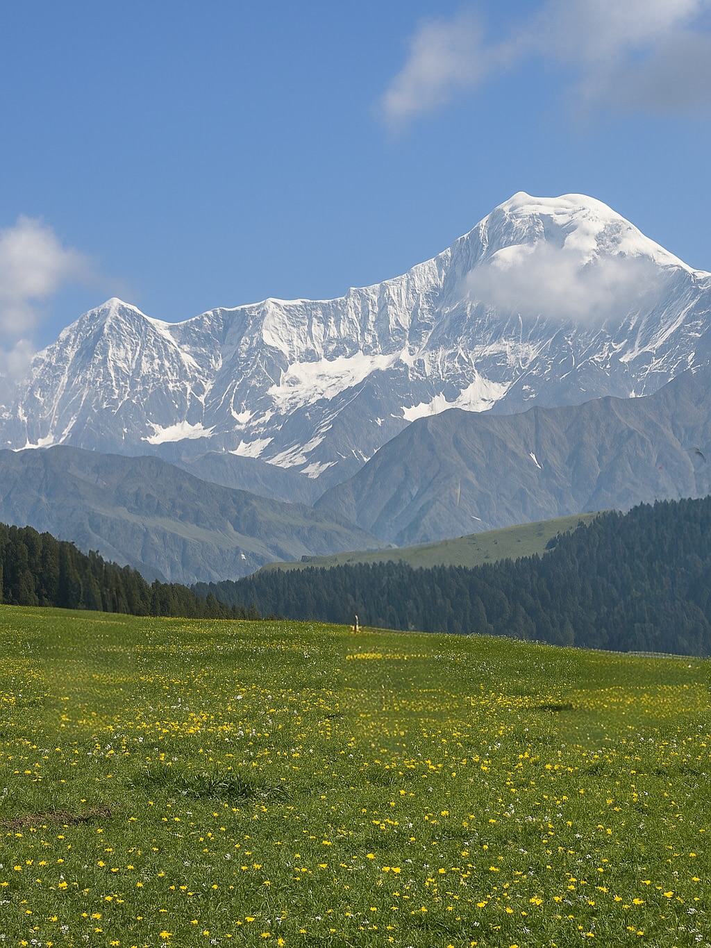 Dayara bugyal trek Oct November Book your dayara bugyal trek Dm inbox.dayarabugyaltrek utt 5