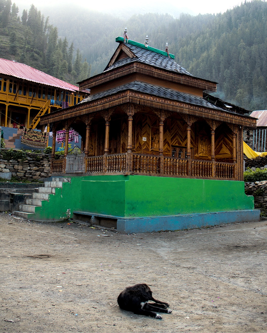 Moments from the Sar Pass Trek to Cherish ForeverThe trek had it all. Over five days starting f