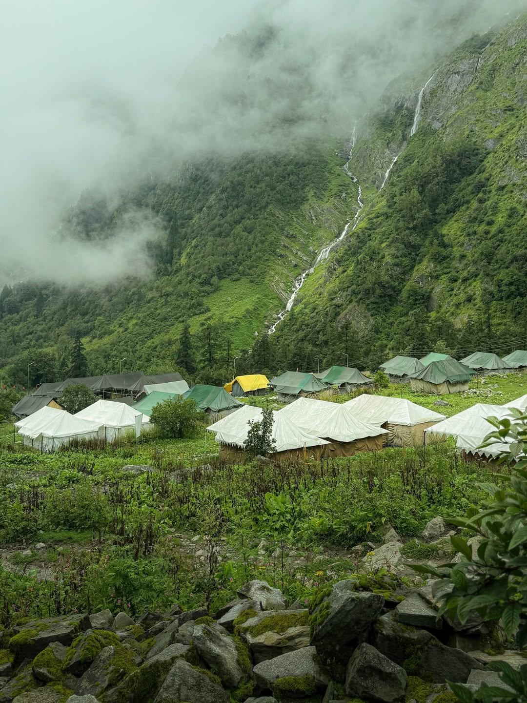 The Valley of Flowers is one of the most beautiful and memorable treks Ive done so far😻The we 2