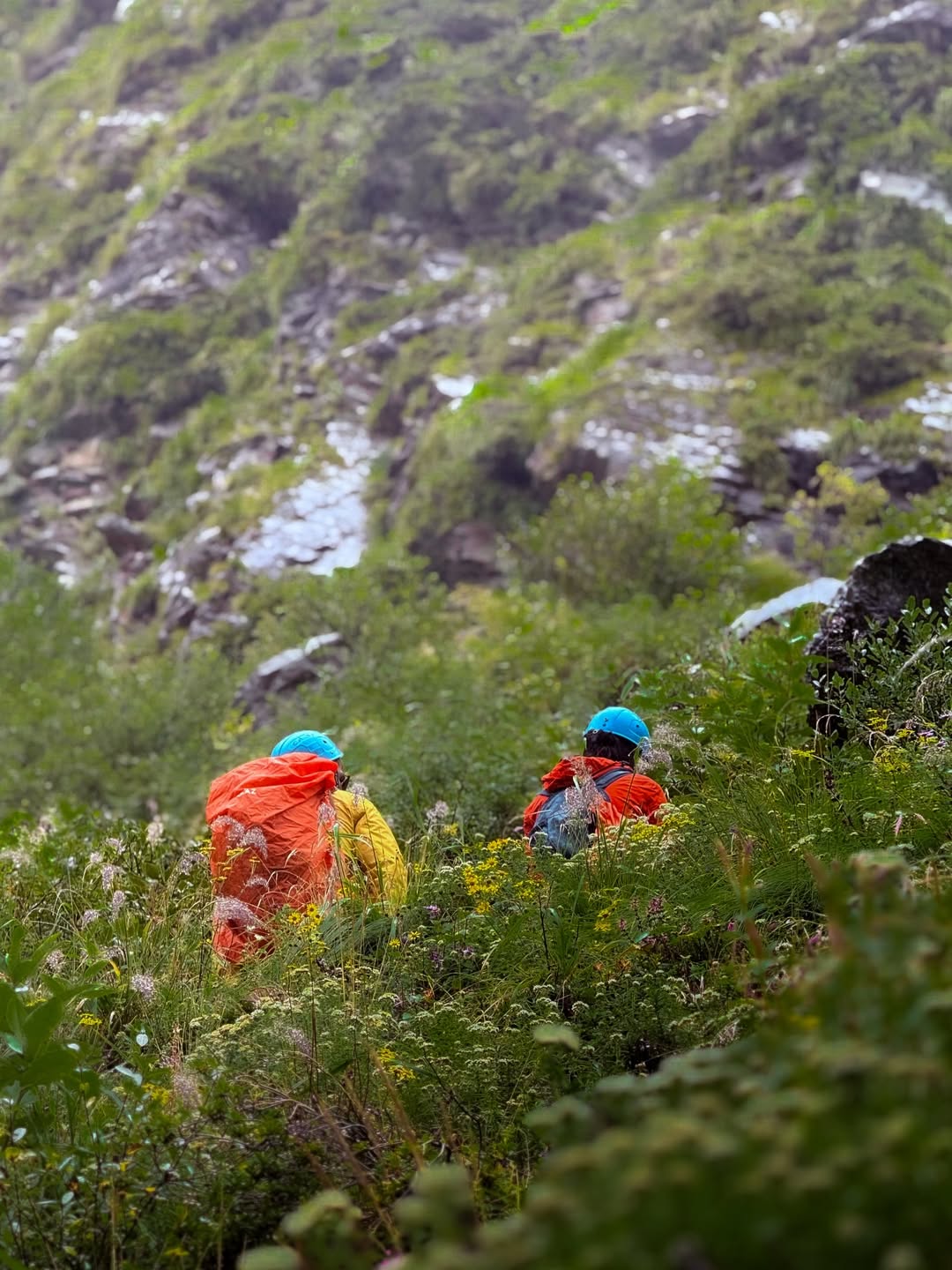 The Valley of Flowers is one of the most beautiful and memorable treks Ive done so far😻The we 3