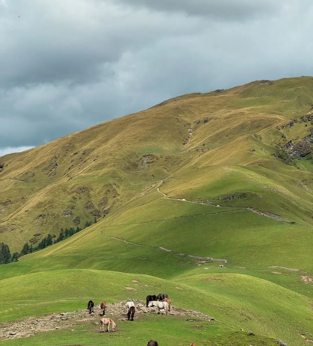 📍ALI BEDNI BUGYALEndless rolling meadows towering Himalayan giants and a landscape straight 1 1